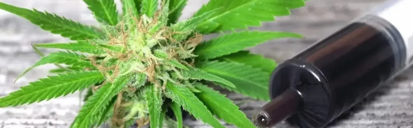 Cannabis flower bud next to a dark oil cartridge on wood